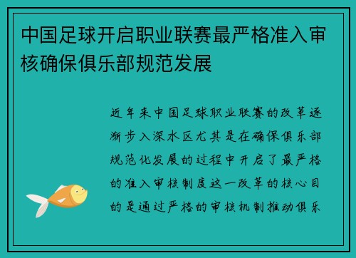 中国足球开启职业联赛最严格准入审核确保俱乐部规范发展